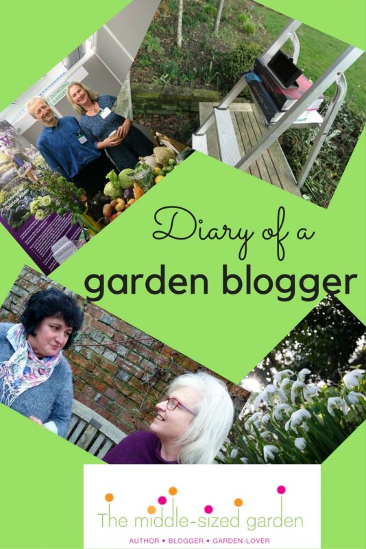What does a garden blogger do?