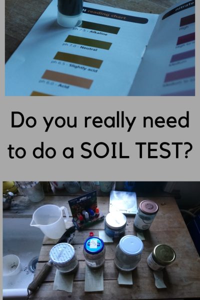 Why you really need to do a soil test. #gardening #backyard