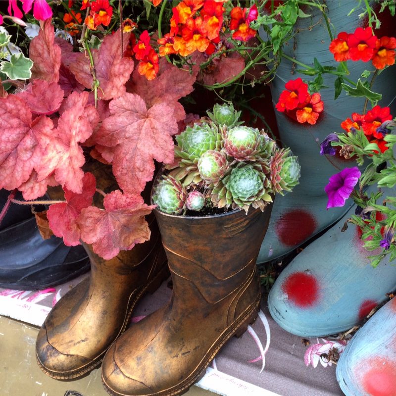 Wellie boot planters