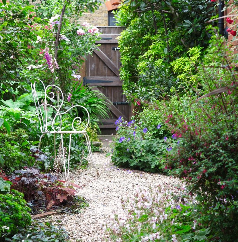 Lush planting and gravel in a narrow town garden