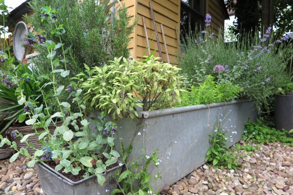 You can buy agricultural troughs from farm suppliers