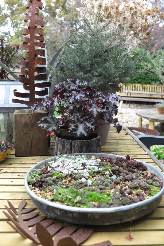 Winter garden 'tablescape'