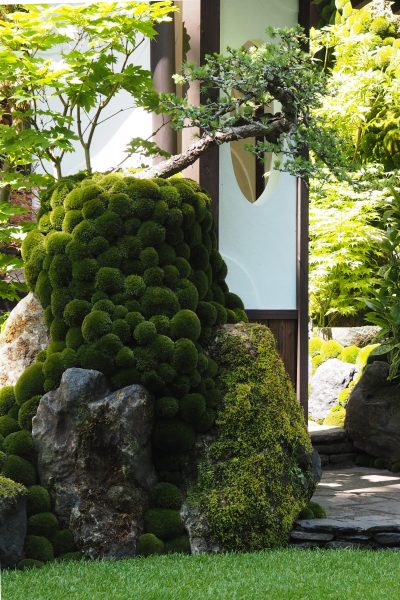 Japanese garden arch