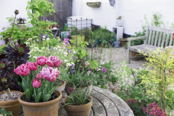 Use lots of pots in a seaside garden