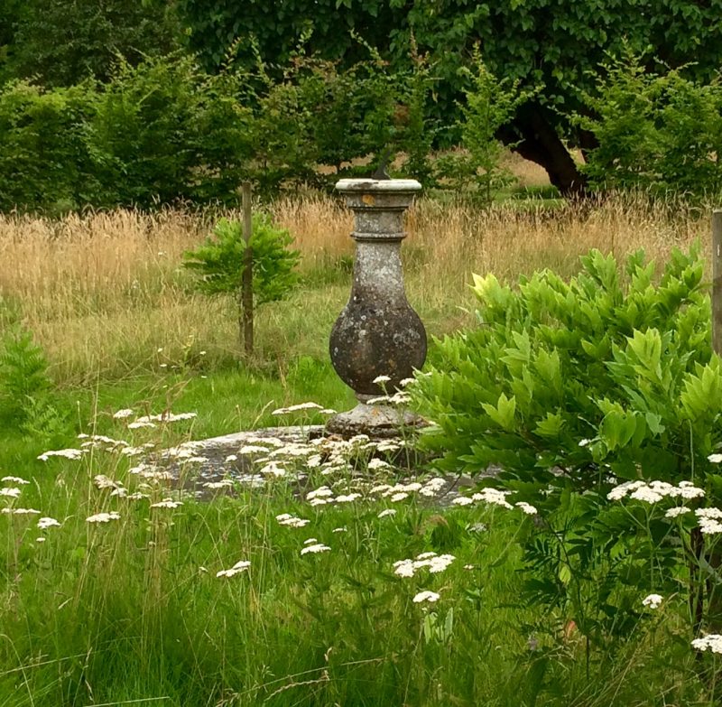 Heale Gardens in Wiltshire
