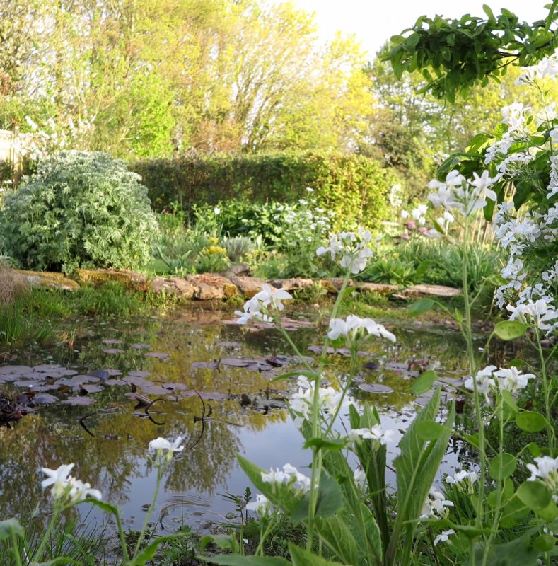 Gardens open for the NGS