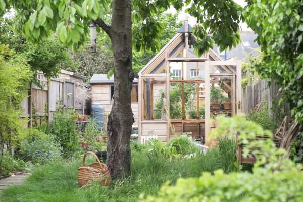 Greenhouse in a long thin garden