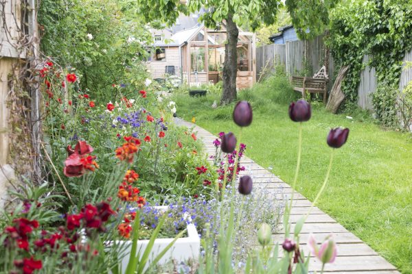 Planning tips for a long thin garden