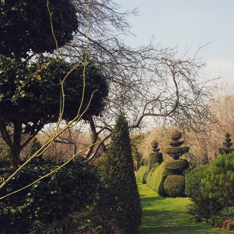 Charlotte Molesworth's garden