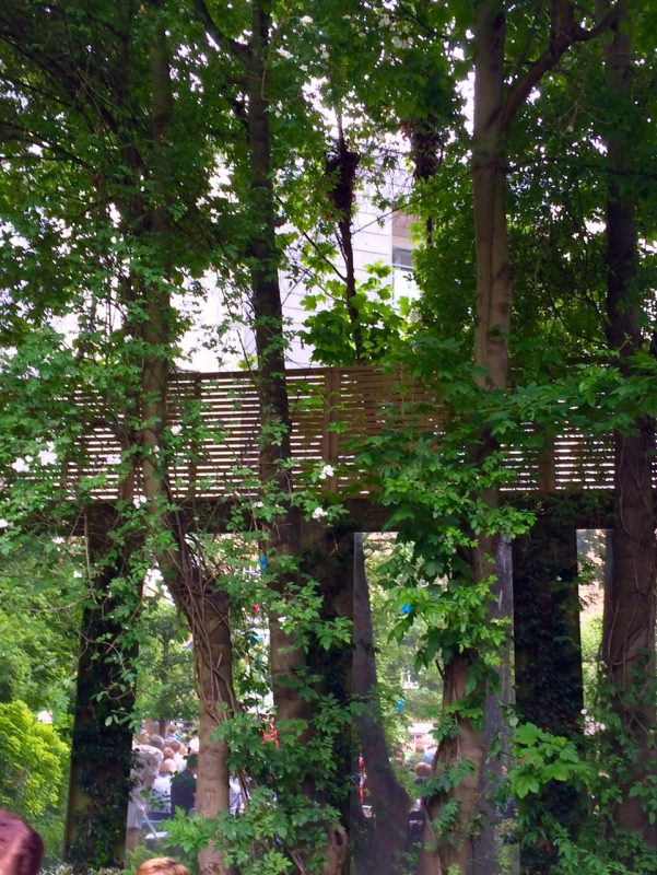 Wall, trellis, trees and mirror - privacy in a London garden