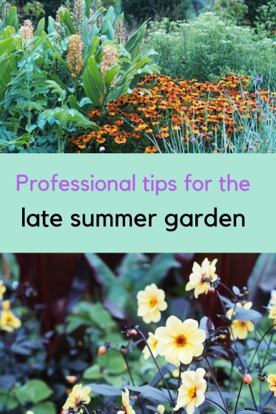 Professional tips for late summer garden colour