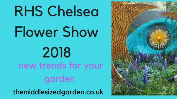Garden videos on the Middlesized Garden include a preview of the RHS Chelsea Flower Show 2018 video