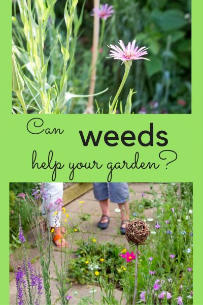 A new trend for weeds in the garden?