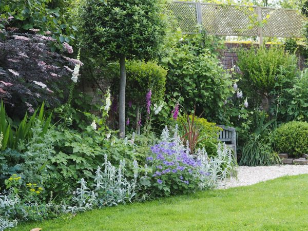 June border in an English garden