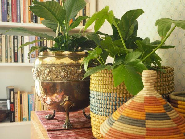 Baskets used as indoor planters