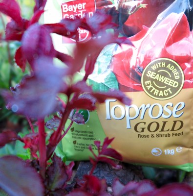 Toprose Gold granular fertiliser