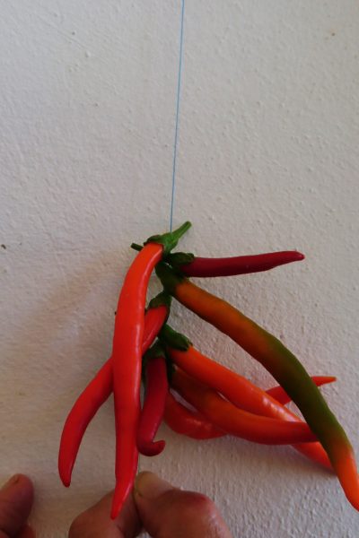 Alternate chillies to dry them quicker