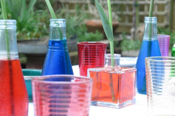 Fill old bottles with food dye colouring and water
