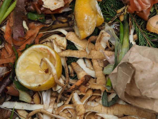 What goes into the compost heap