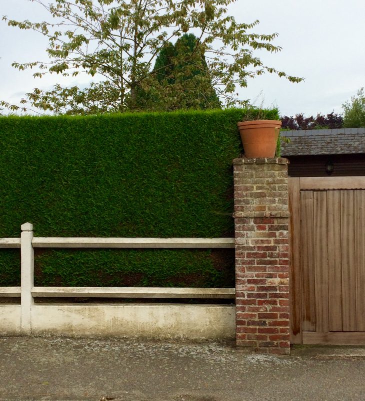 Fence and hedge combination for privacy