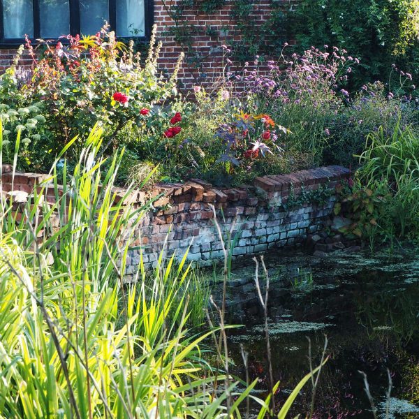 How to renovate a garden #gardening #backyard