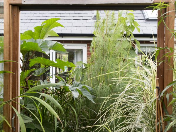 A tropical garden needs a greenhouse