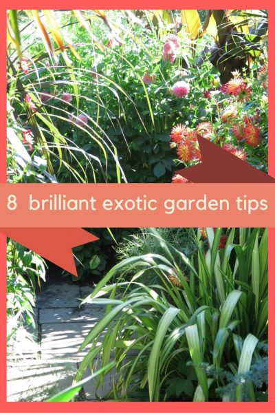 How to create a brilliant exotic garden or border