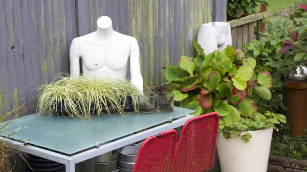 Use a shop mannequin as a planter