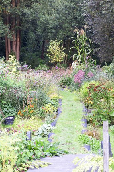 Long thin damp garden
