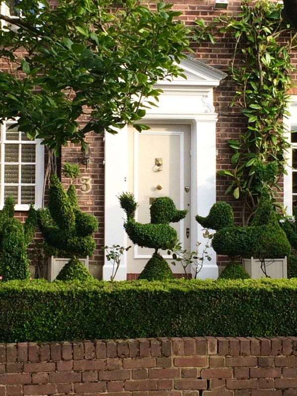 Topiary front garden