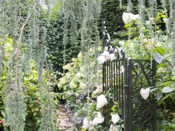 Le Jardin Agapanthe is a shady garden