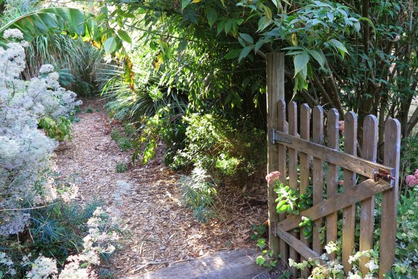 Tips for your garden path
