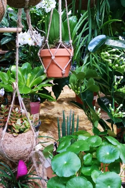 2018 garden trends include the macrame hanging planter