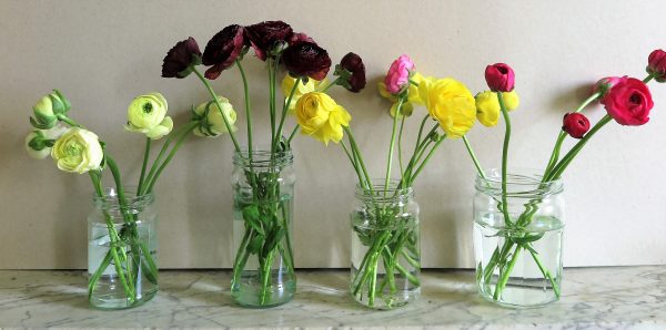 Divide a bunch of flowers into separate colours and put in separate containers.