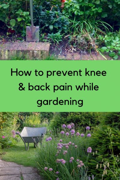 Pain-free gardening - how to prevent knee and back pain from gardening