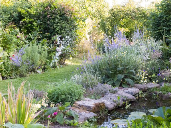 Hardy native hedging for exposed gardens