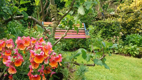 Red and orange flowers and garden bench
