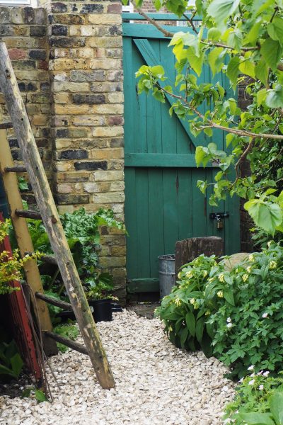 Seashells are one of the most environmentally friendly garden path materials