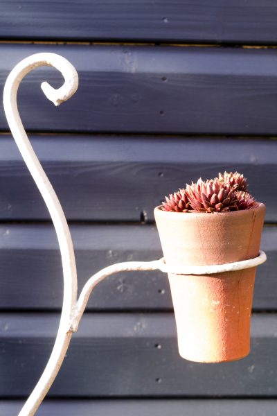 Ideas for small garden pots