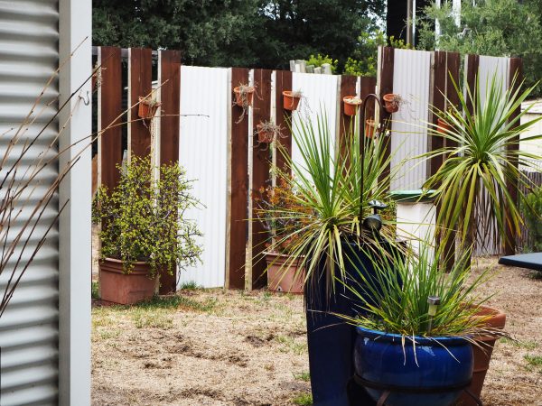 Easy DIY screen with corrugated iron and fence posts.
