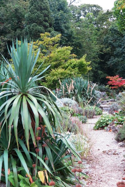 Choosing the shade of your garden path