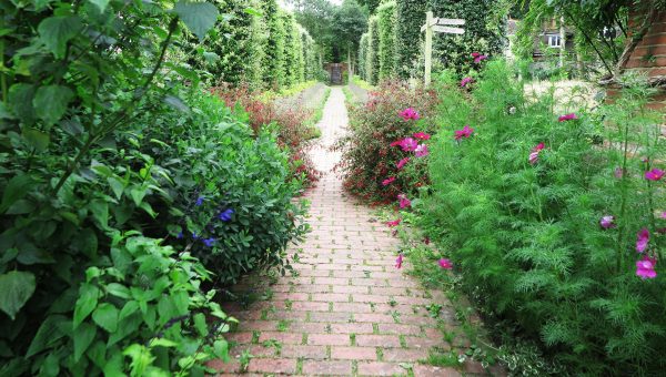 Brick garden paths 