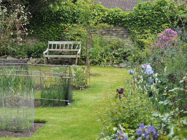 Sarah created this garden from scratch in just a year or two.