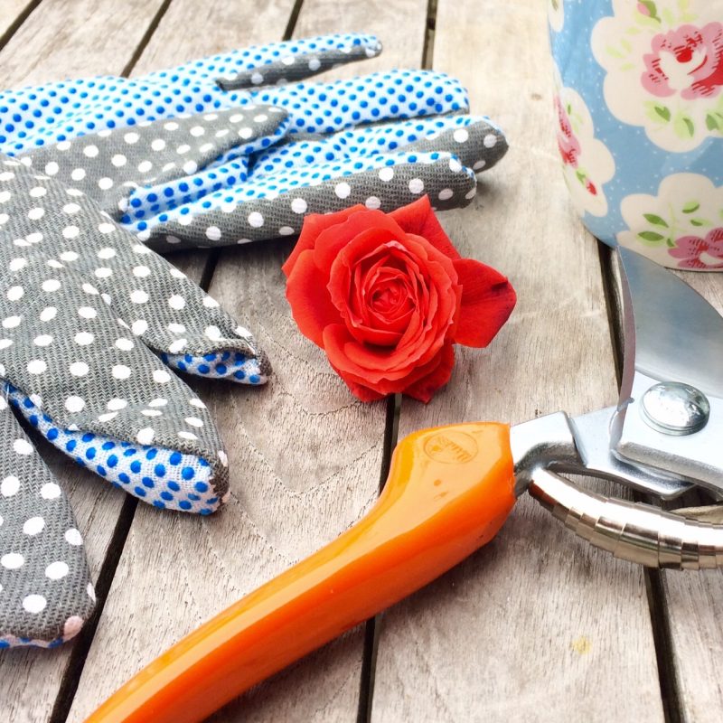 Gardening gloves and secateurs