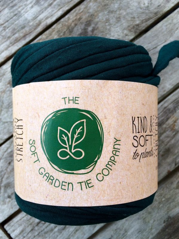 Use a Soft Garden Tie, not plastic or wire