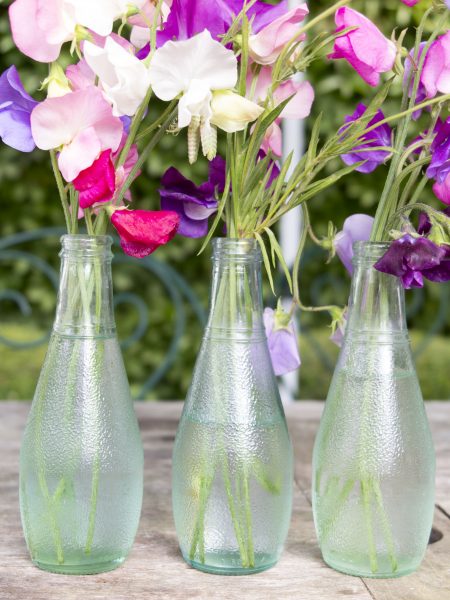 Use empty bottles for flower arranging