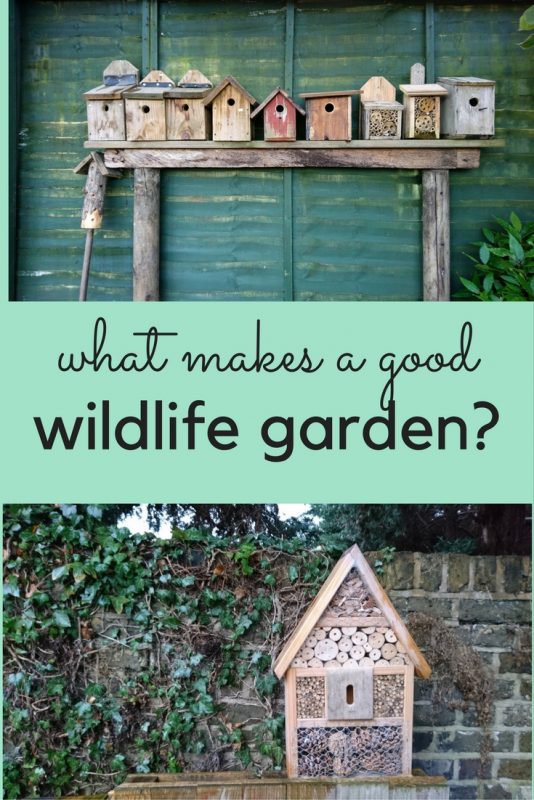 What makes a good wildlife garden?