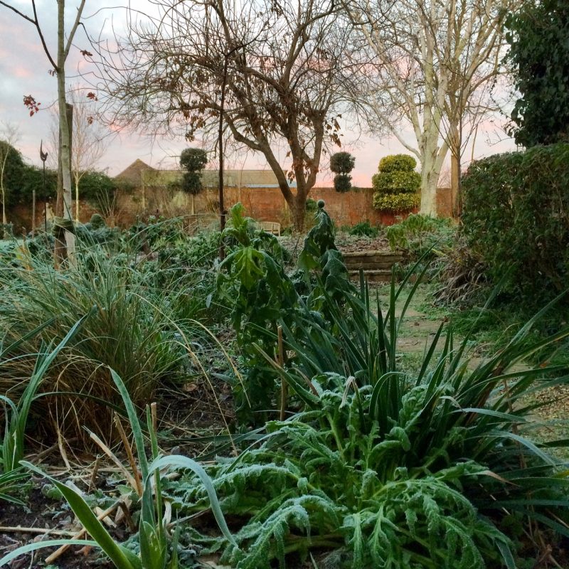 The Middlesized Garden in winter