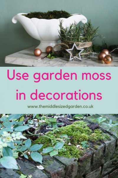 Use moss in decorations