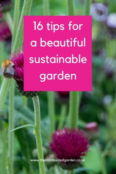 16 tips for a beautiful sustainable garden